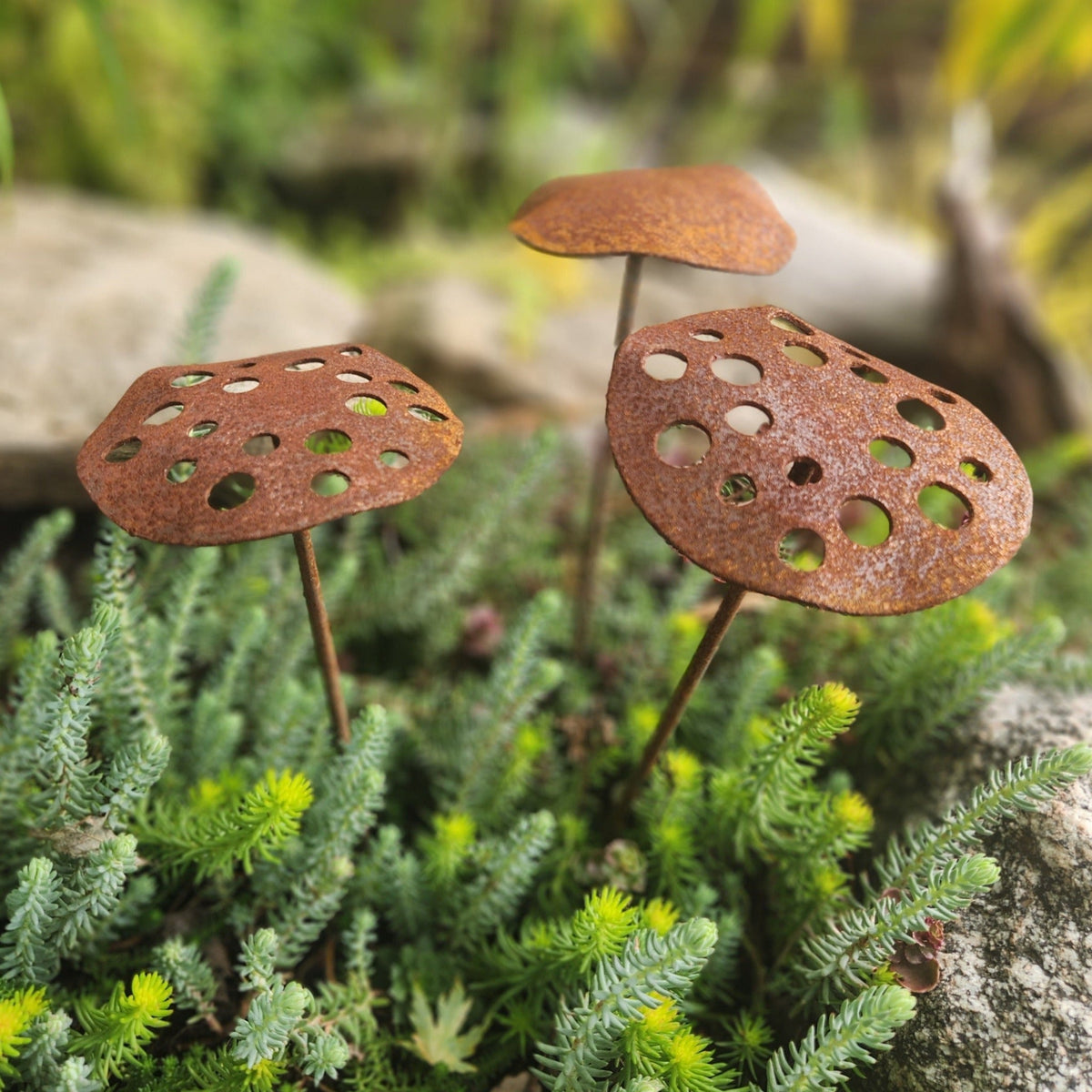 3-Pack Metal Lotus Seed Pod Garden Stakes