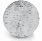 Birch Bark Drink Coasters