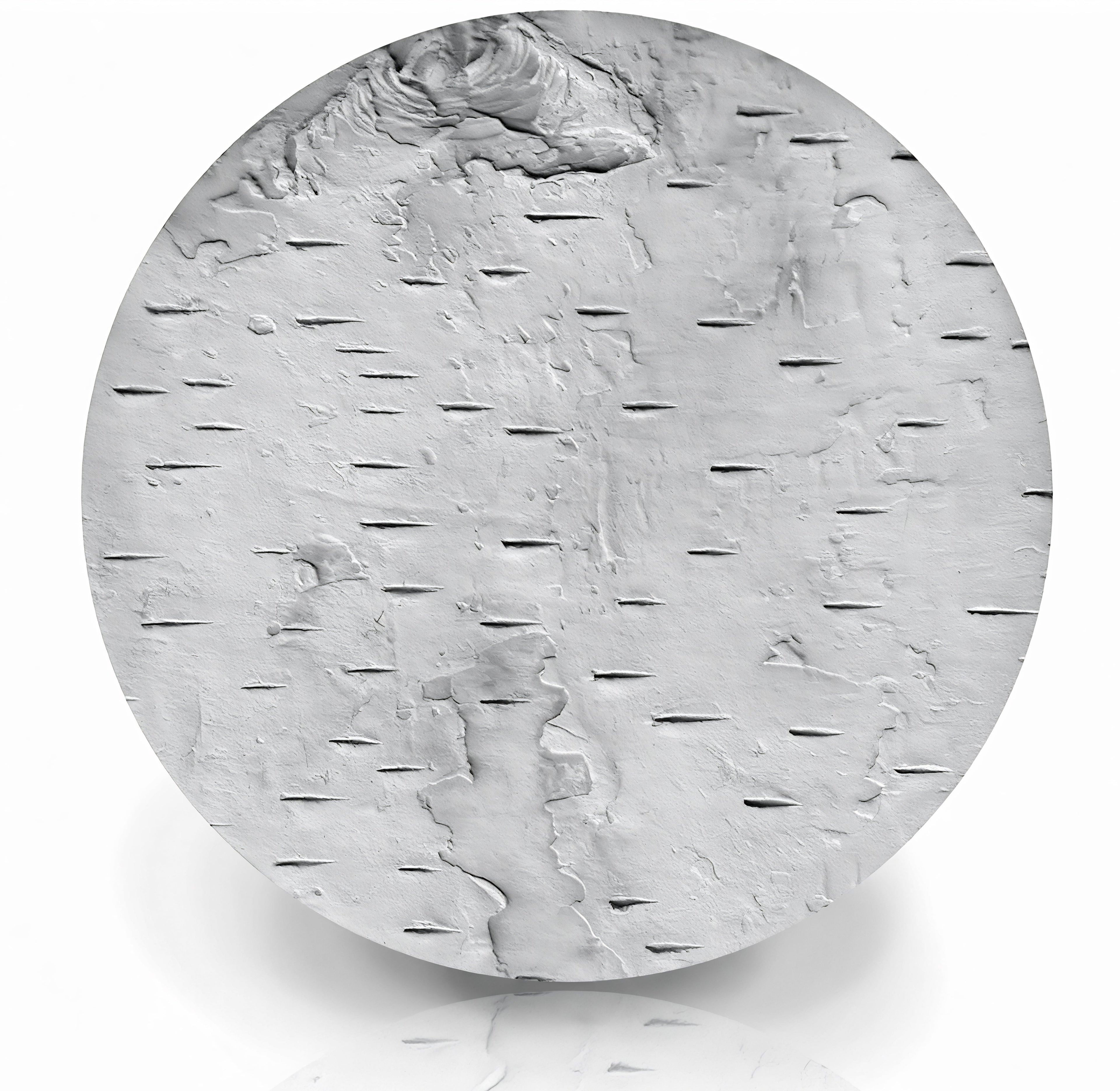 Birch Bark Drink Coasters